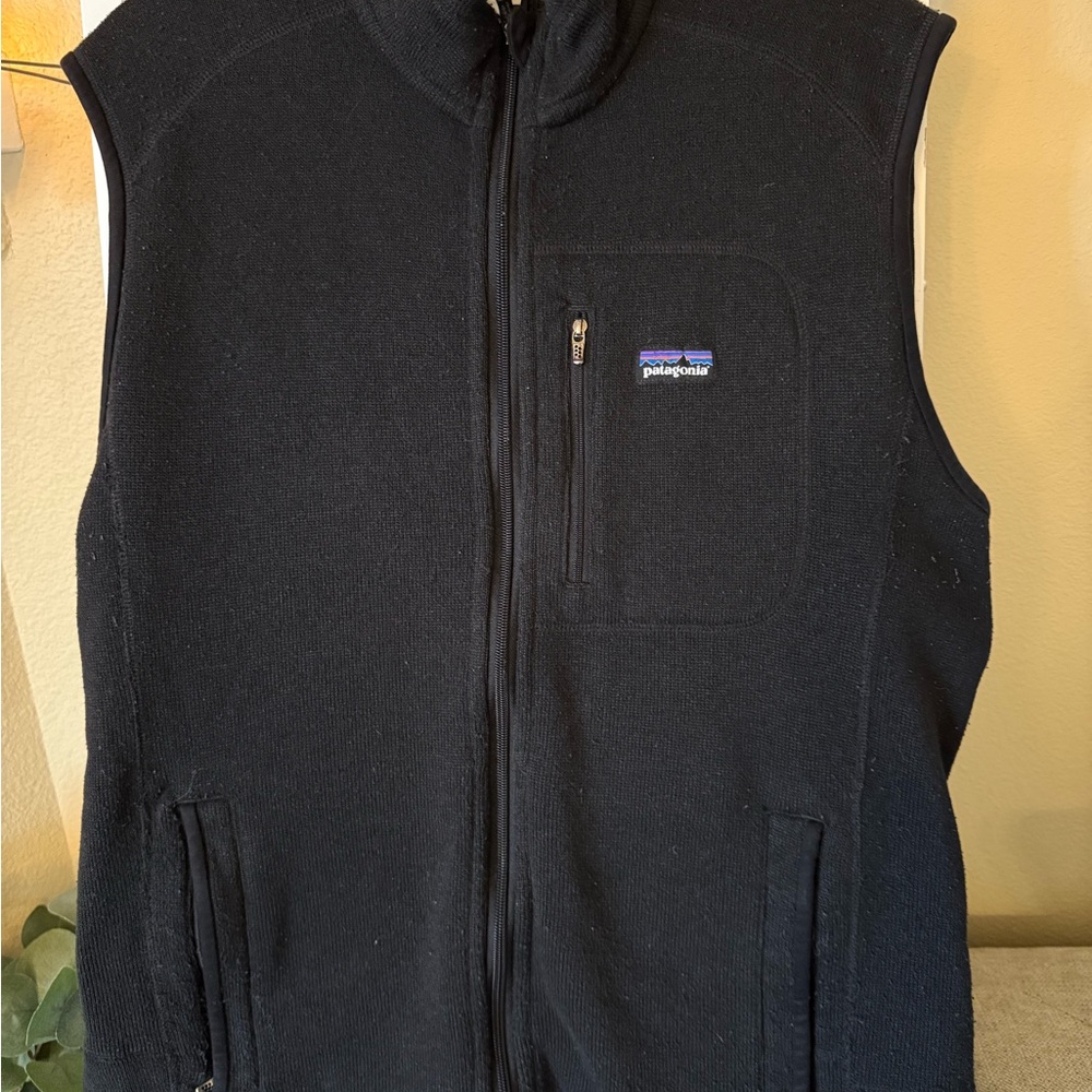 Patagonia Men’s Black Fleece Vest
